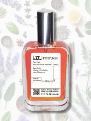 Joyfull Journey M11 – Aromatische fougère Herenparfum